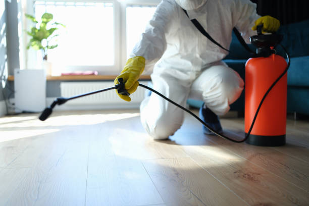 Reliable Odor Removal contractor in Melbourne Beach, FL by Trauma Clean Pros